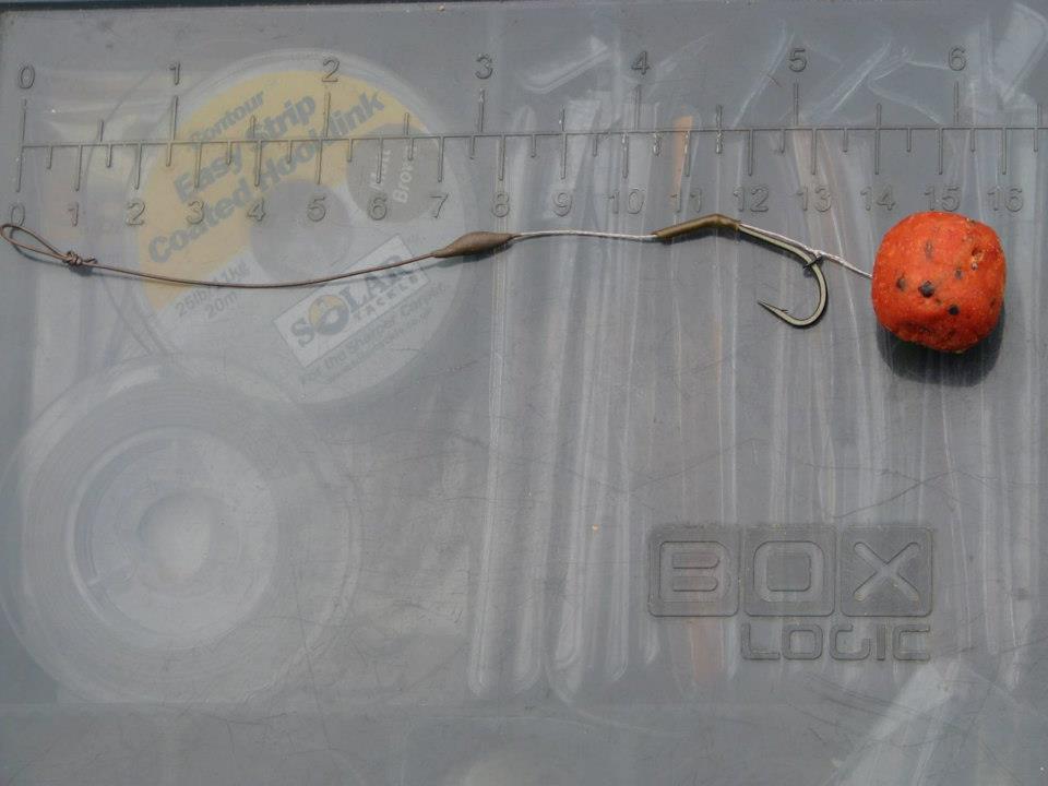 SOLAR - 4882235304487203324441281568573n.jpg